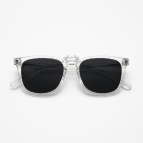 monture transparente homme